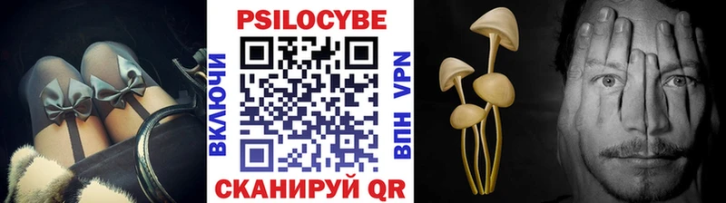blacksprut зеркало  Шилка  Галлюциногенные грибы MAGIC MUSHROOMS 