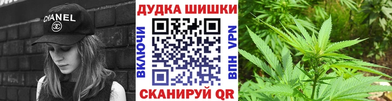 где можно купить   Шилка  Каннабис индика 